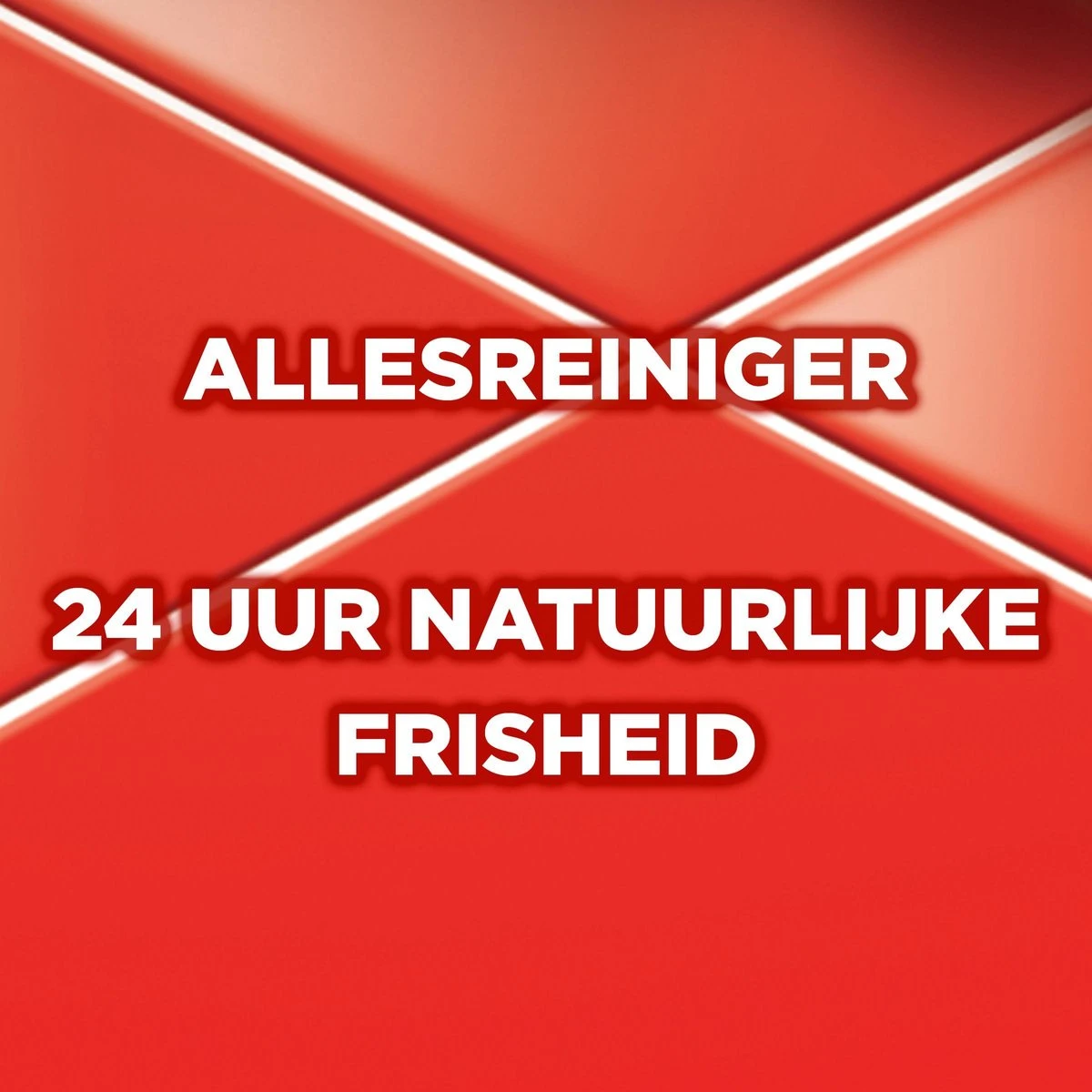 Ajax® Ajax Allesreiniger Fête Des Fleur Rode Bloem 8 X 1L - Voordeelverpakking - Afbeelding 3