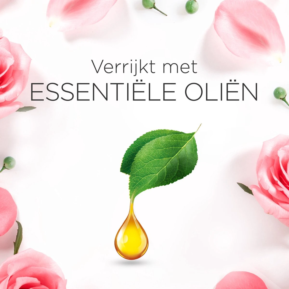 Air Wick Essential Mist Luchtverfrisser - Kalmerende Rozen - 3 Navullingen - Afbeelding 4