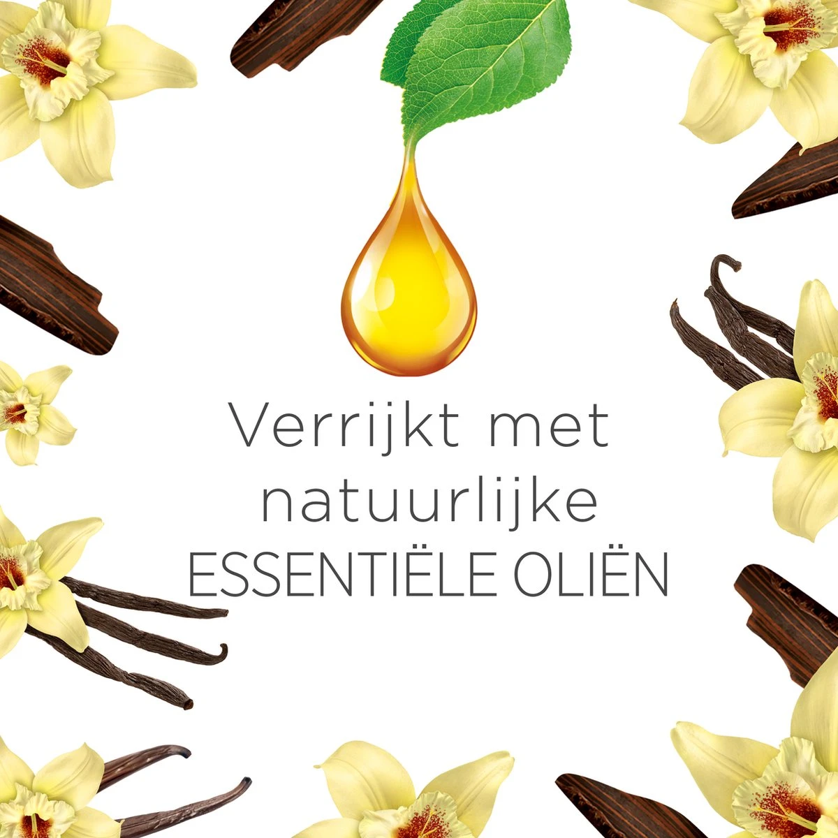 Air Wick Freshmatic Automatische Spray Luchtverfrisser - Ebbenhout & Vanille - 1 Apparaat + 2 Navullingen - Afbeelding 2