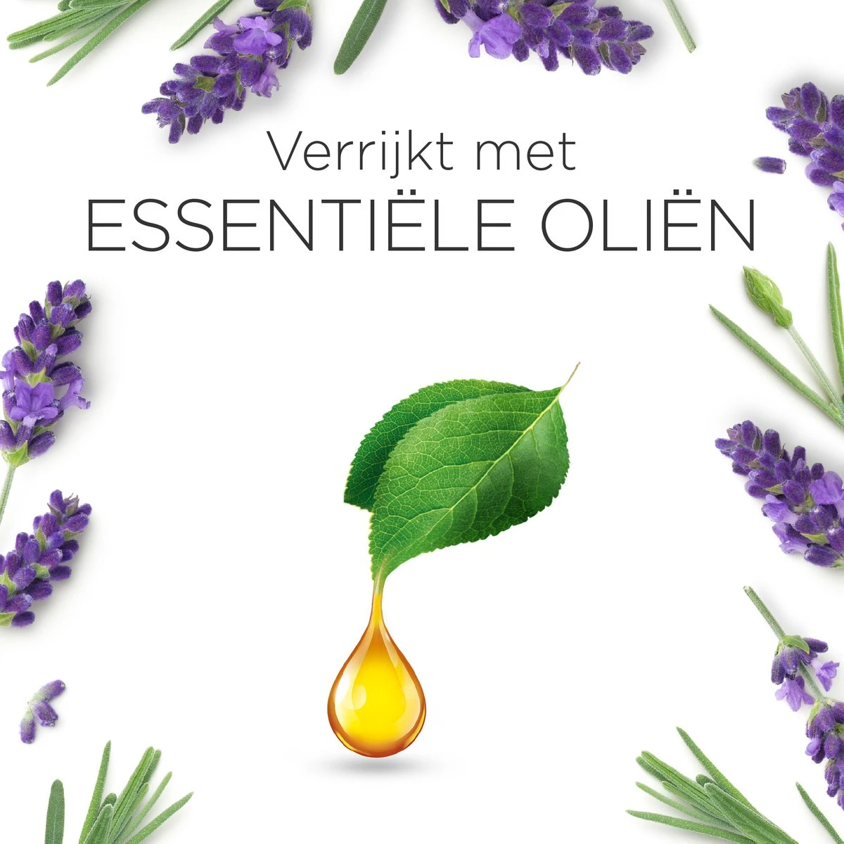 Air Wick Essential Mist Automatische Luchtverfrisser - Ontspannende Lavendel - 3 Navullingen - Afbeelding 7